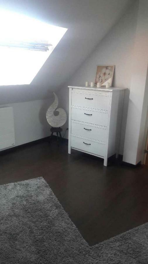 Appartement Avec Garage Colmar Centre Historique מראה חיצוני תמונה